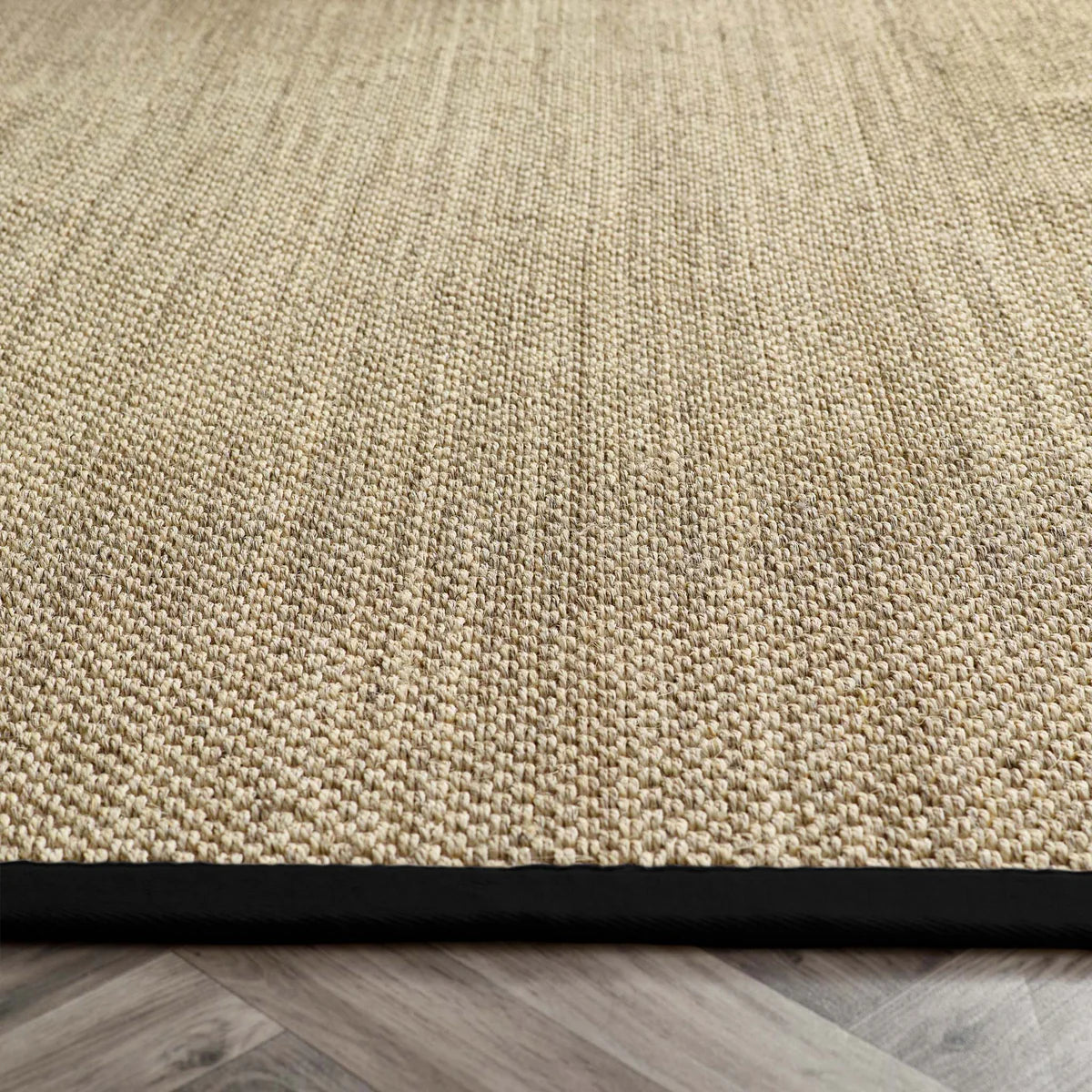 Origins Sisal Light Beige with Black Border Premium Rug