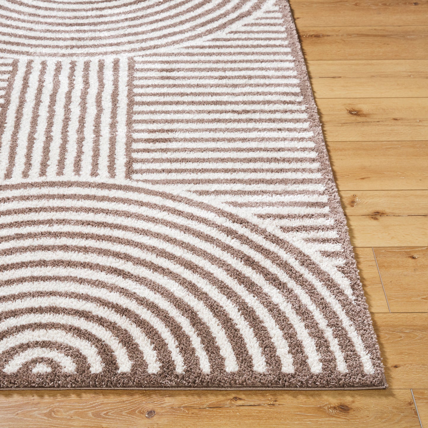 Fossay Brown and Beige Washable Modern Shaggy Rug