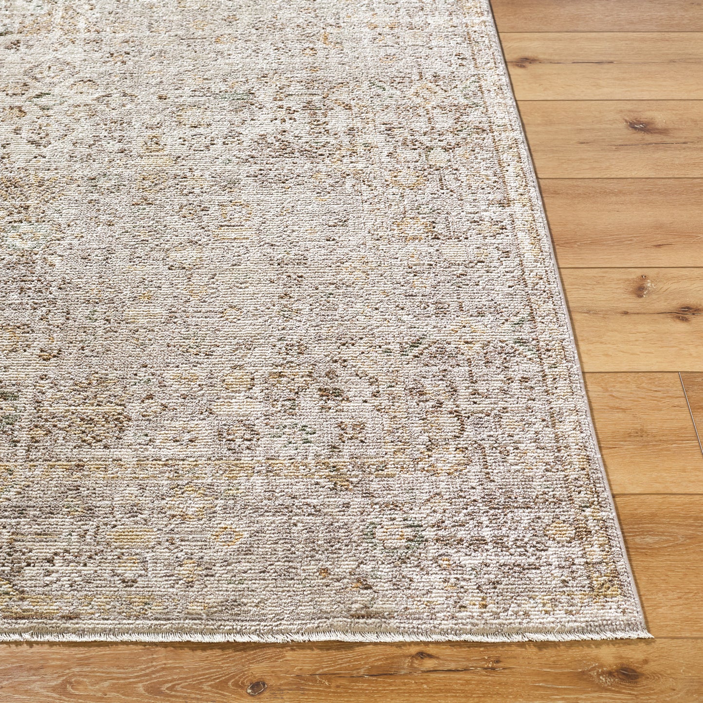 Myrtle Avenue I by Galey Alix Taupe Vintage Boho Rug