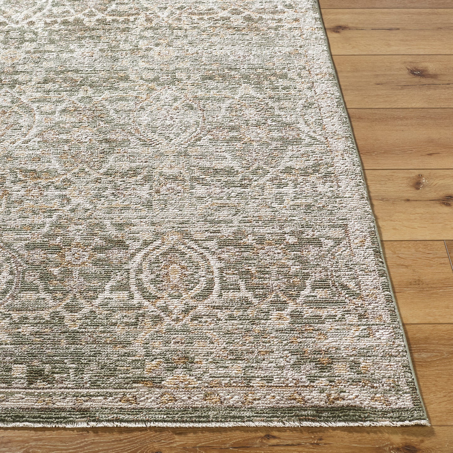Myrtle Avenue VI by Galey Alix Green Vintage Boho Fringe Rug