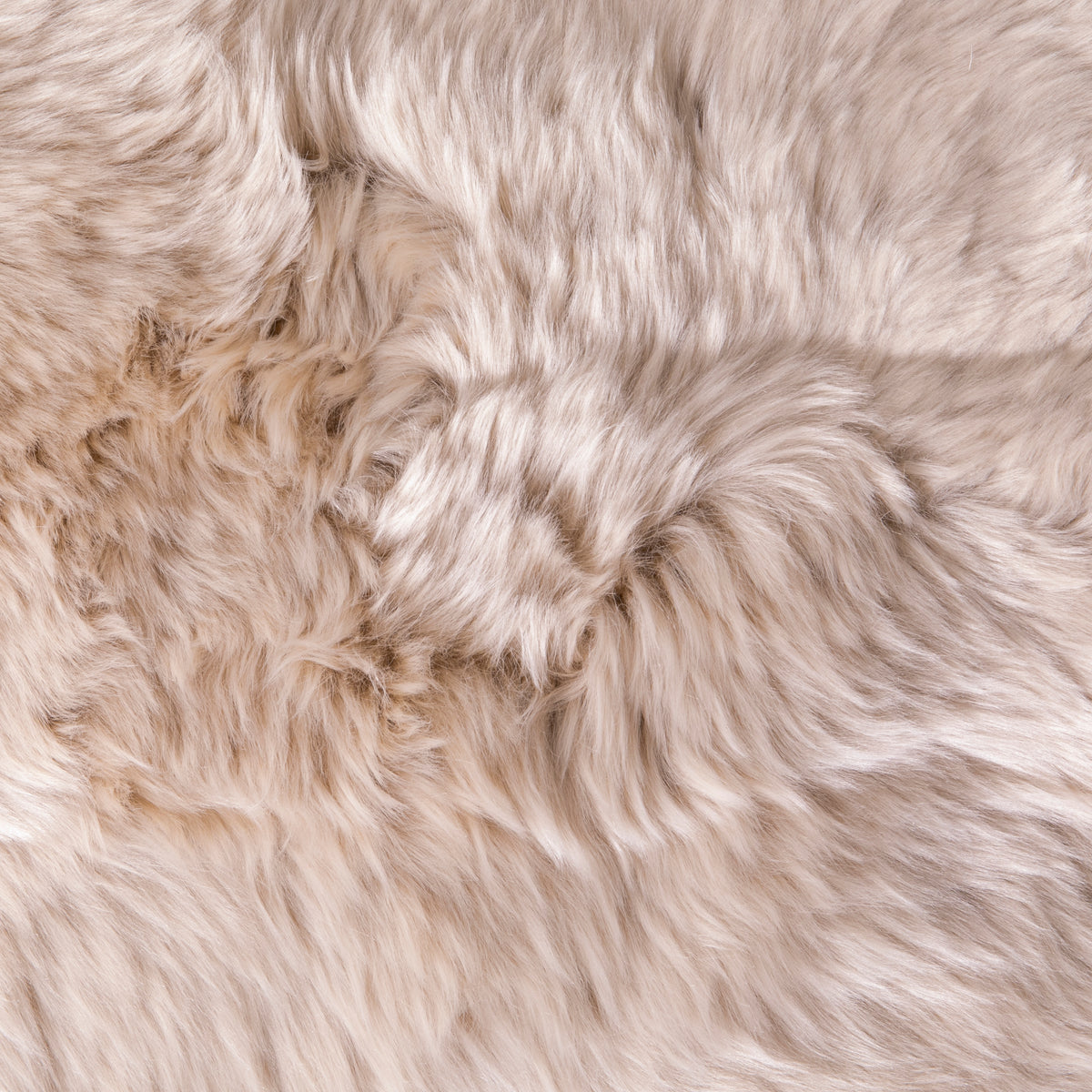 Shearling Champagne Rug Medium Champagne Genuine Super Soft NZ Sheepskin Rug - Double Pelt 60c ...