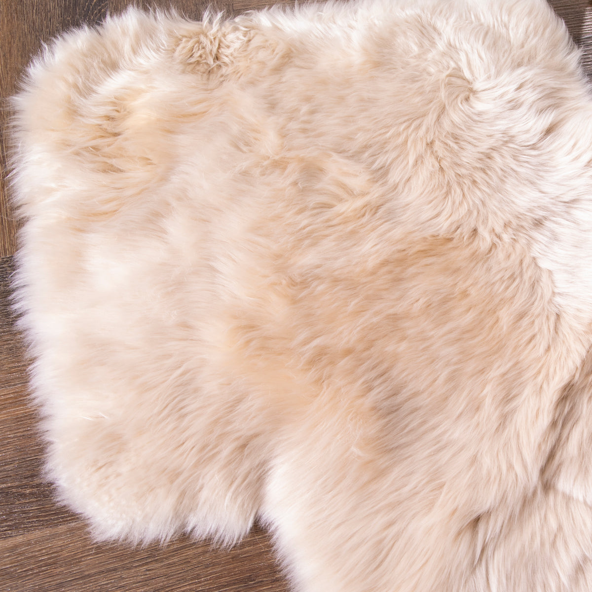 Shearling Champagne Rug Medium Champagne Genuine Super Soft NZ Sheepskin Rug - Double Pelt 60c ...