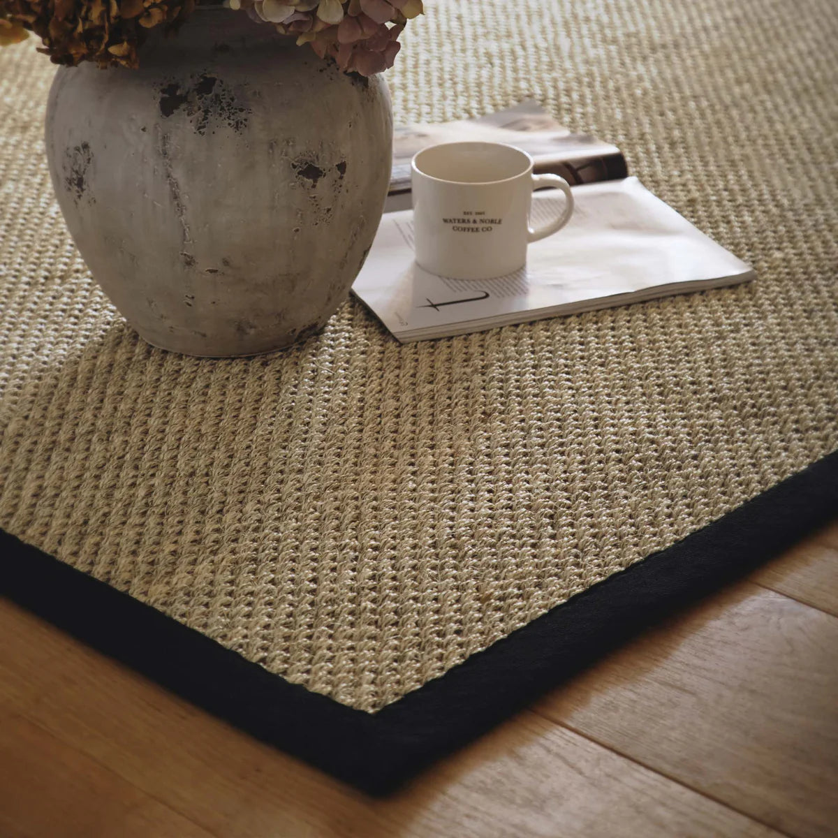 Origins Sisal Light Beige with Black Border Premium Rug