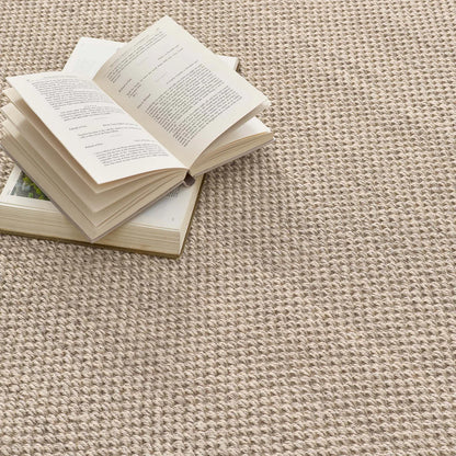 Origins Sisal Light Beige with Sand Border Premium Rug