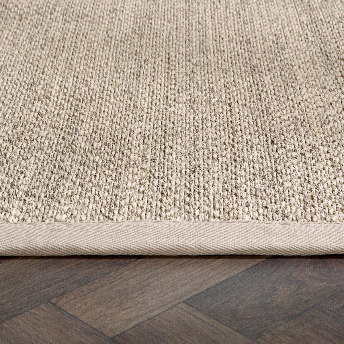 Origins Sisal Light Beige with Sand Border Premium Rug