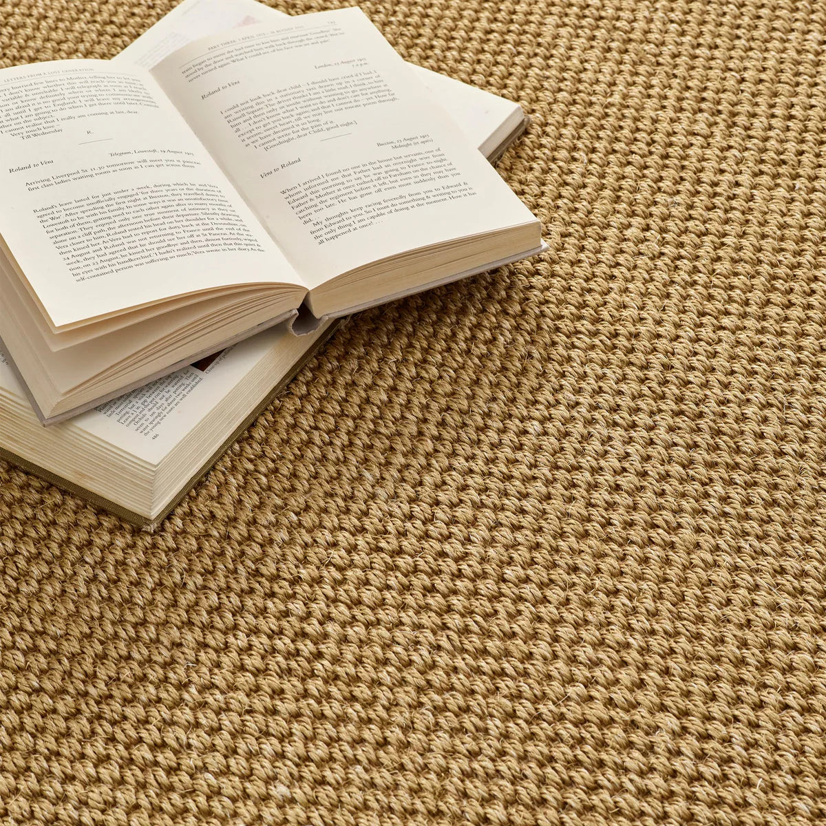Origins Sisal Warm Natural with Dark Brown Border Premium Rug