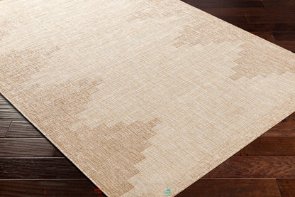 Eagean Global Coffee Geometric Rug