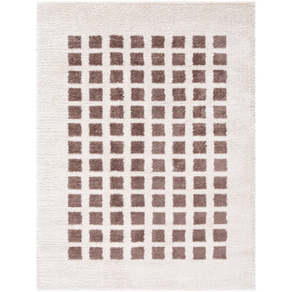 Fossay Cream and Dark Brown  Washable Modern Shaggy Rug