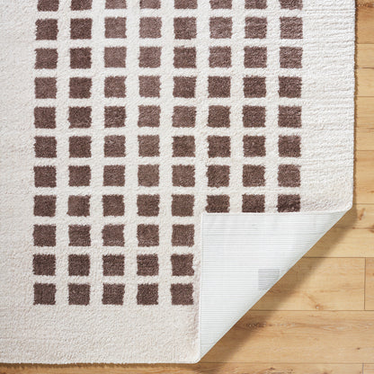 Fossay Cream and Dark Brown  Washable Modern Shaggy Rug