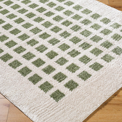 Fossay Cream and Green  Washable Modern Shaggy Rug