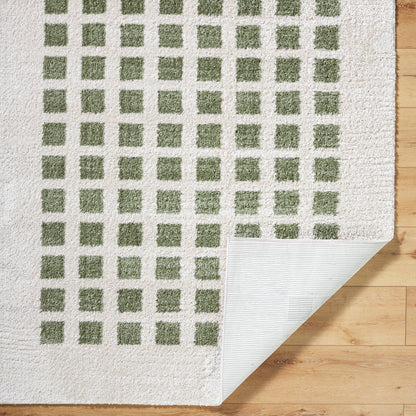 Fossay Cream and Green  Washable Modern Shaggy Rug