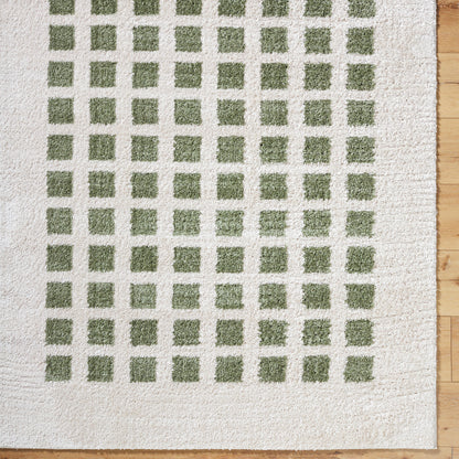 Fossay Cream and Green  Washable Modern Shaggy Rug