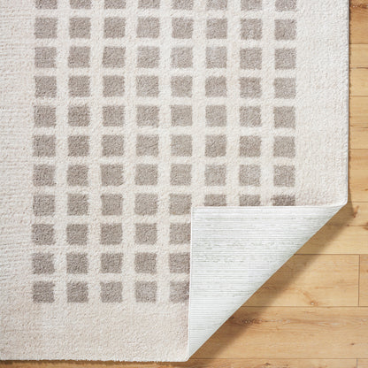 Fossay Cream and Grey Washable Modern Shaggy Rug
