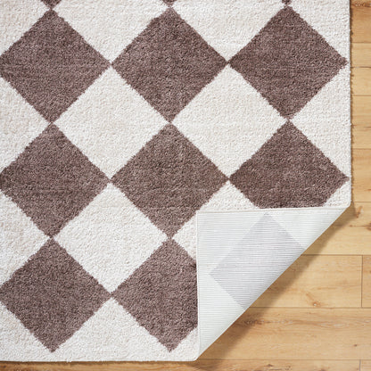 Fossay Brown and Beige Washable Diamond Shaggy Rug