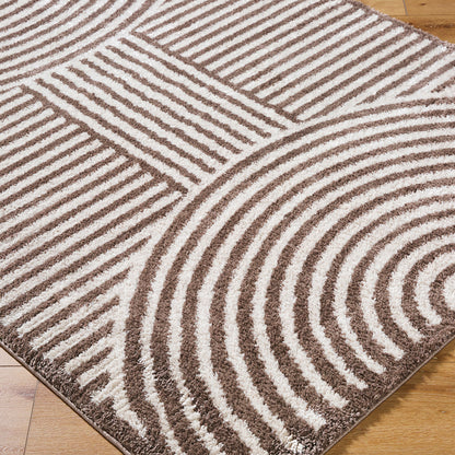 Fossay Brown and Beige Washable Modern Shaggy Rug