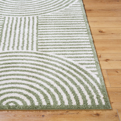 Fossay Green Cream and Washable Modern Shaggy Rug