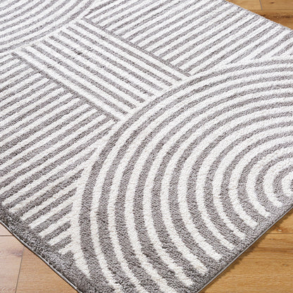 Fossay Grey Cream and Washable Modern Shaggy Rug