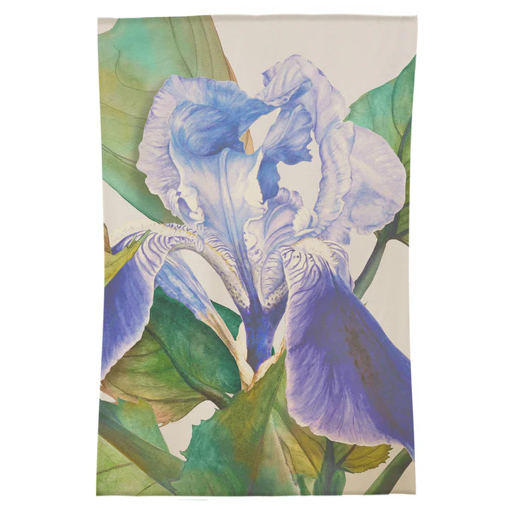 Darwen Cornflower Rug