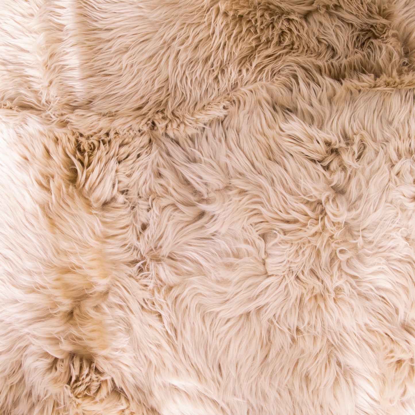 Light Brown 4 Pelt Sheepskin Rug