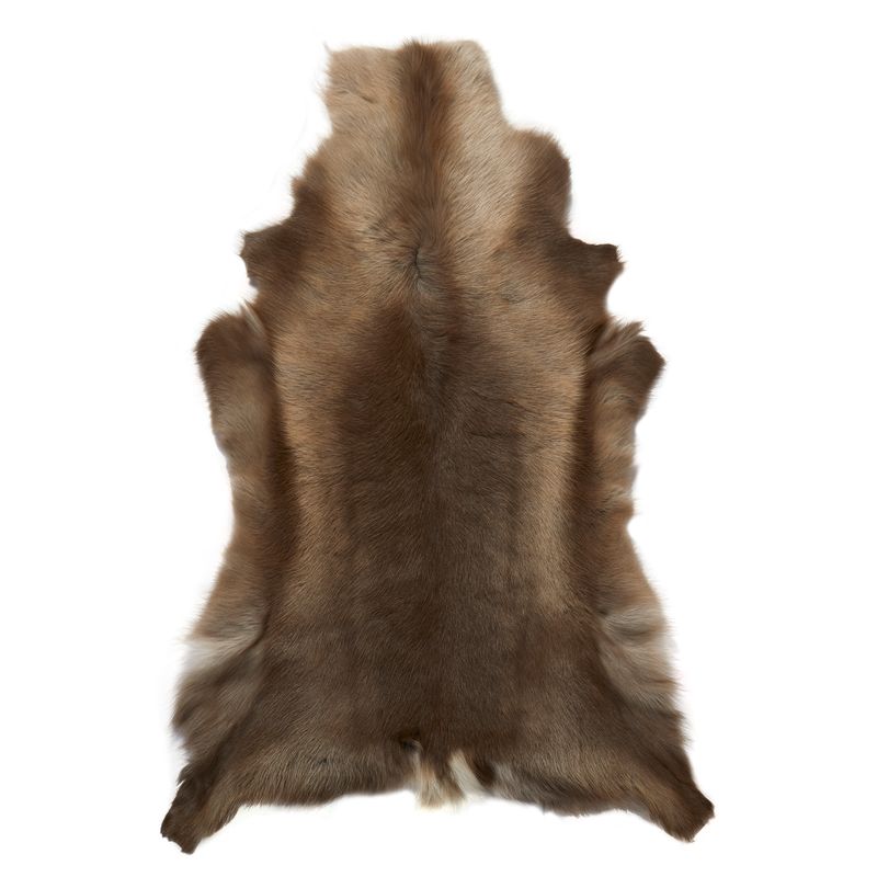 Brown Reindeer Hide