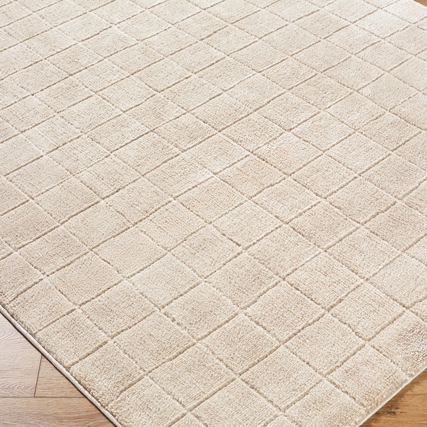 Cascade Our PNW Home Beige Modern High Pile Rug