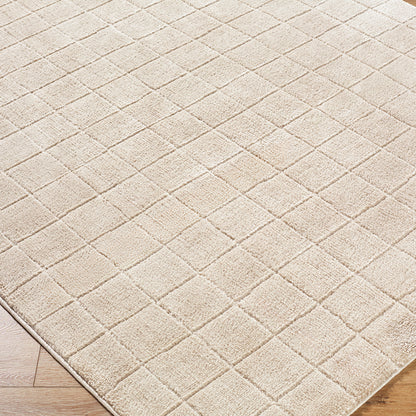 Cascade Our PNW Home Beige Modern High Pile Rug