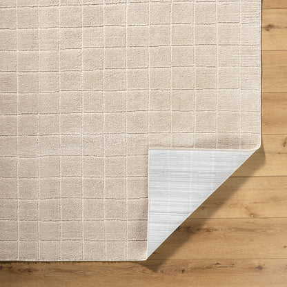 Cascade Our PNW Home Beige Modern High Pile Rug