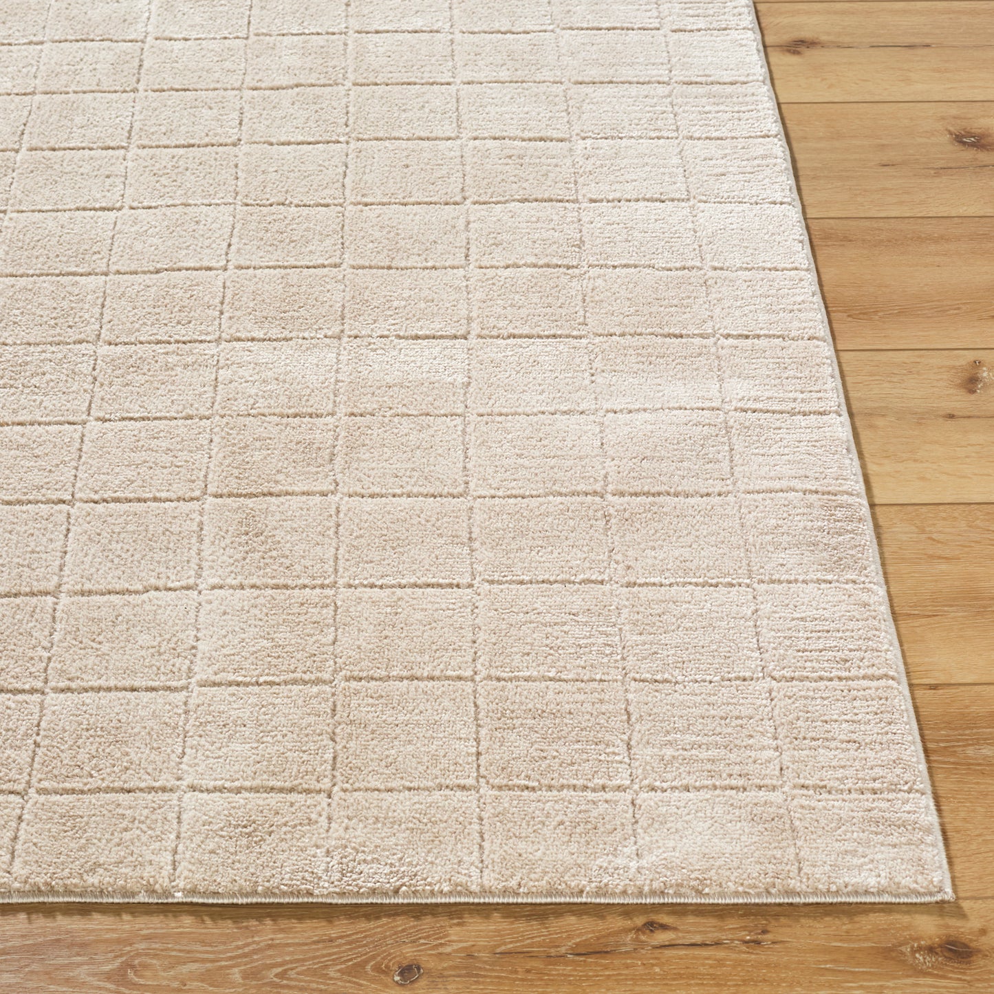 Cascade Our PNW Home Beige Modern High Pile Rug