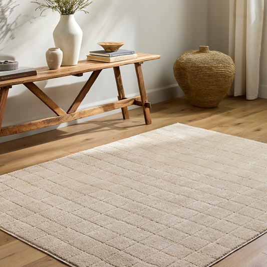 Cascade Our PNW Home Beige Modern High Pile Rug