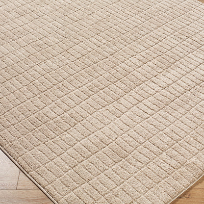 Cascade Our PNW Home Tan Modern High Pile Rug