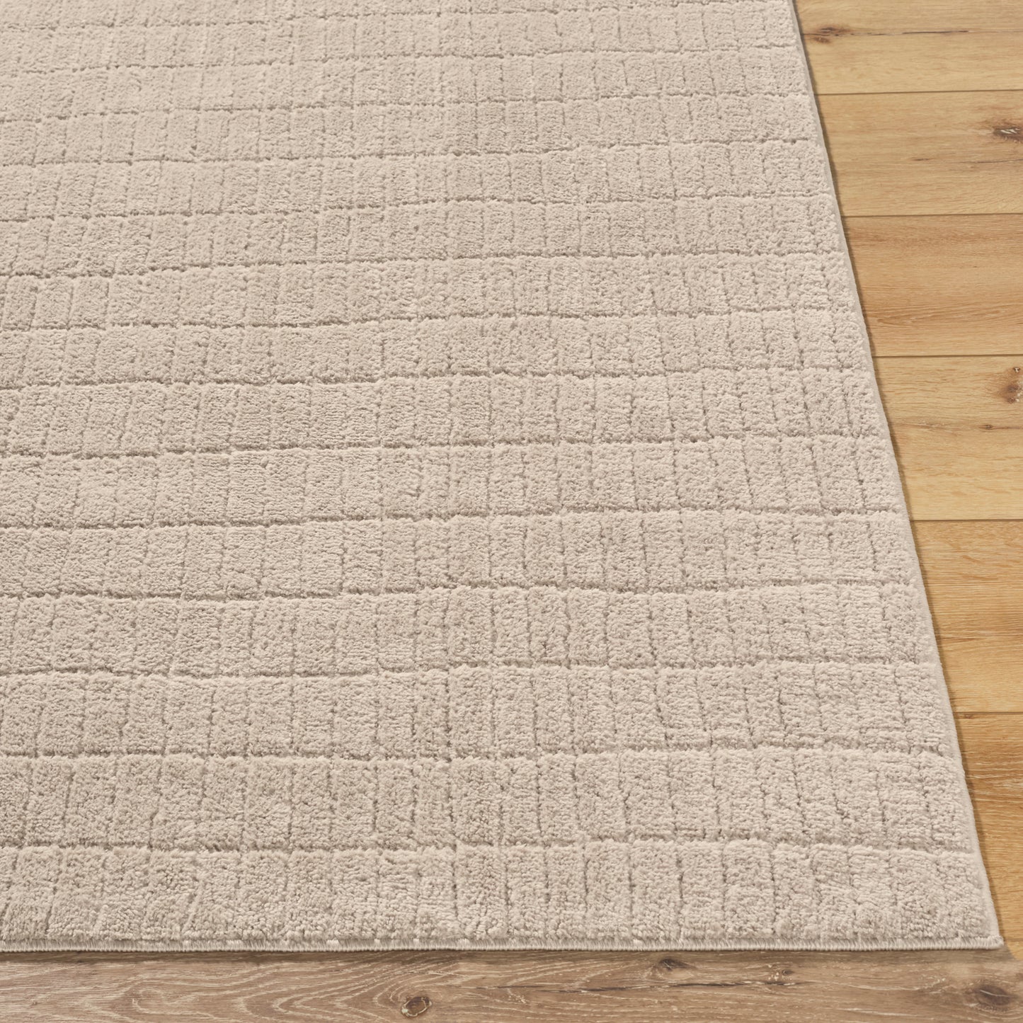 Cascade Our PNW Home Tan Modern High Pile Rug