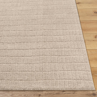 Cascade Our PNW Home Tan Modern High Pile Rug