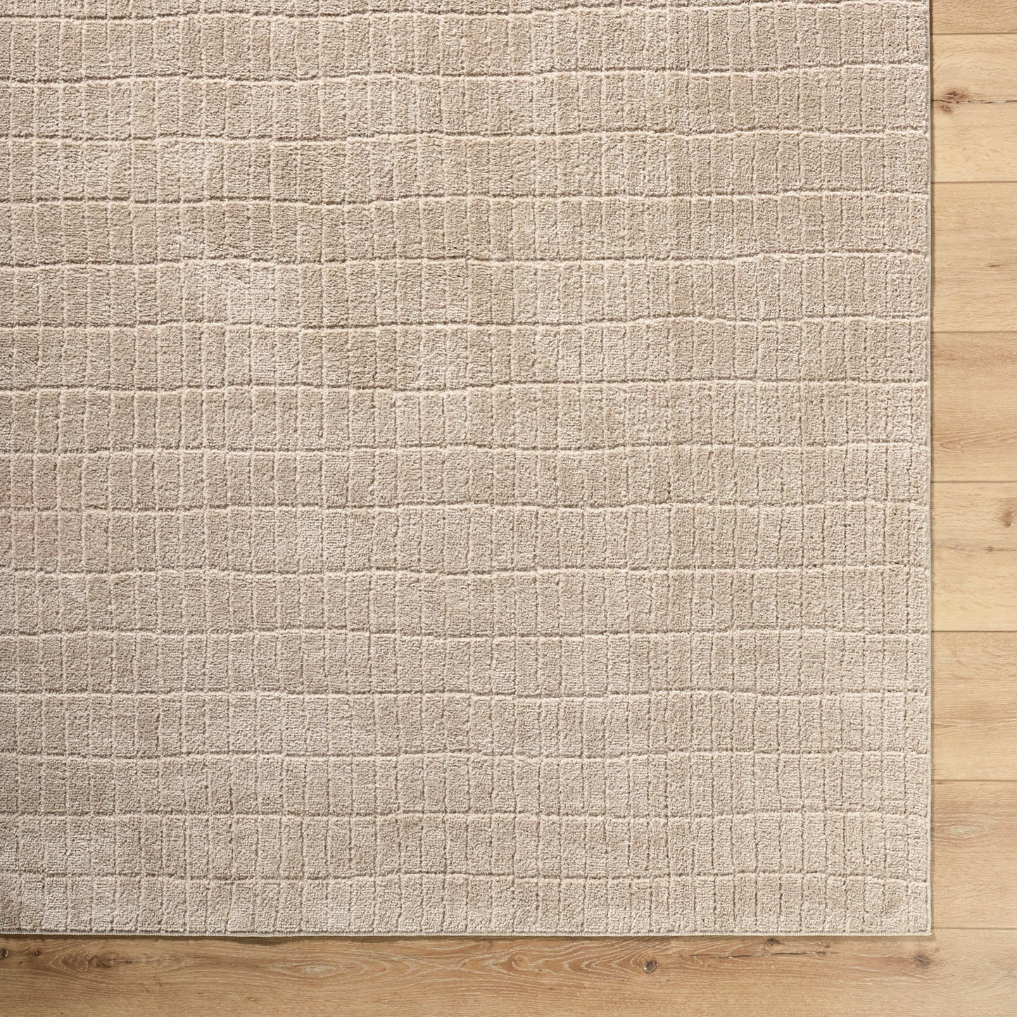 Cascade Our PNW Home Tan Modern High Pile Rug